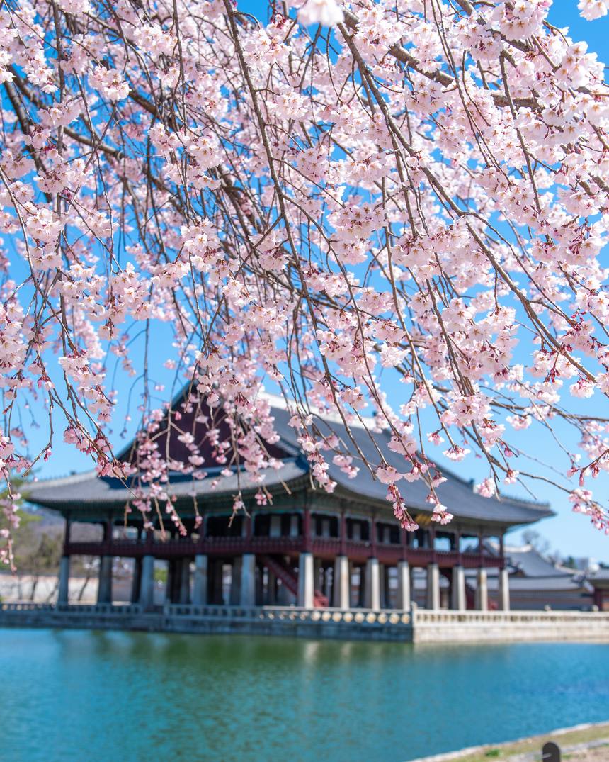 景福宮, Seoul